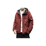 Ржаво-красный