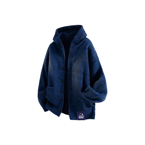 QVAV Унисекс Свитера