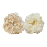 Двусторонний, 100% хлопок, лепесток