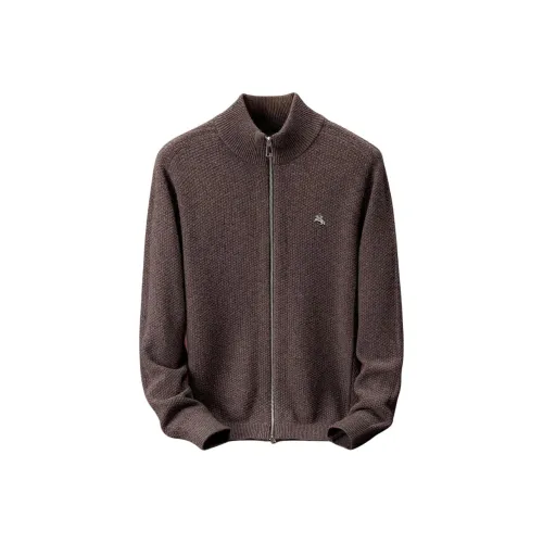 POLOMEISDO Мужские Свитера