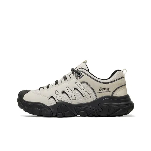 JEEP Устойчивый к истиранию Низкий Топ Альпинизм Походная обувь Мужская
