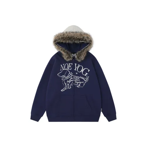 BEAR UNION Женские Свитшоты