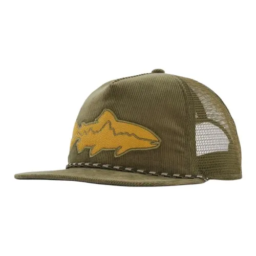 Patagonia Organic Cotton Кепки Мужские TENT Green