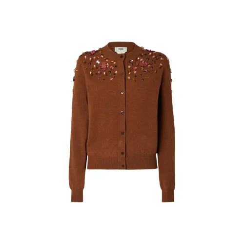 FENDI Коричневые Женские Свитера