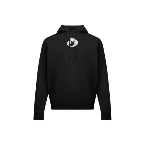 Under Armour Fox FW25 Свитшот Мужской