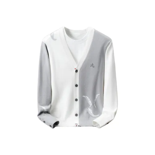 POLOMEISDO Мужские Свитера