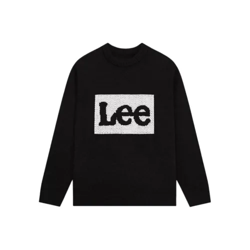 Lee Школьный возраст Свитера