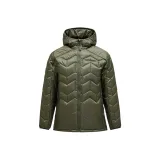 Сосна иголка