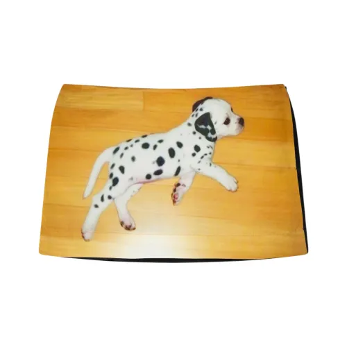 Ashley Williams FW25 Повседневные короткие юбки Женские