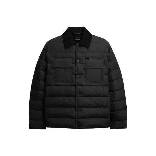 COACH Черный Мужской Пуховик