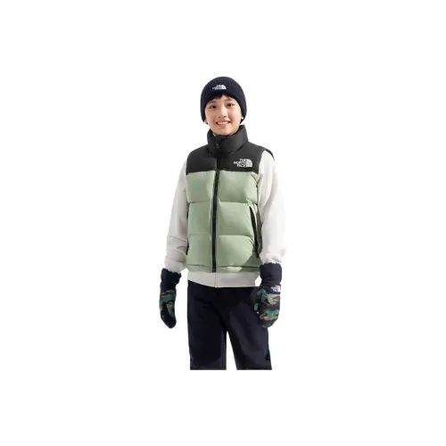 The North Face BQ1 Shale Cyan Kids Down Vest The North Face BQ1 Shale Cyan Kids Пуховый жилет