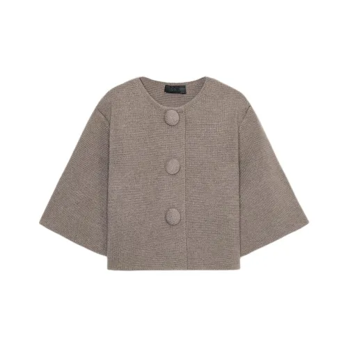 ZARA Коричневый Темно-Серый Коричневый Женский Трикотаж