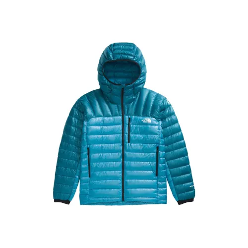 The North Face Пуховики и зимние пальто Мужской Meridian Синий