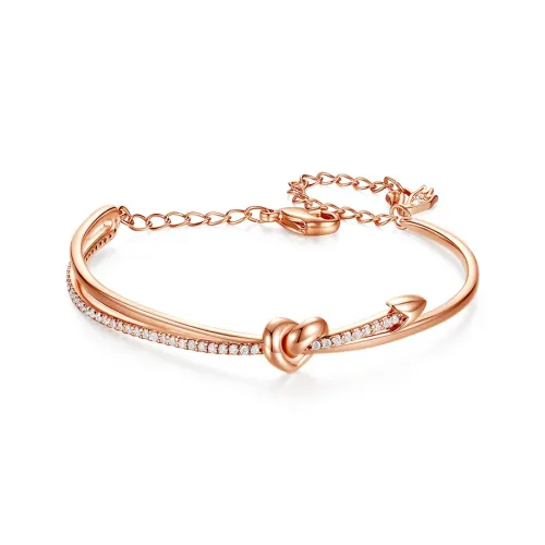 FANSHINER Сплав IPRG Гальванизированный 18K Браслеты Женские