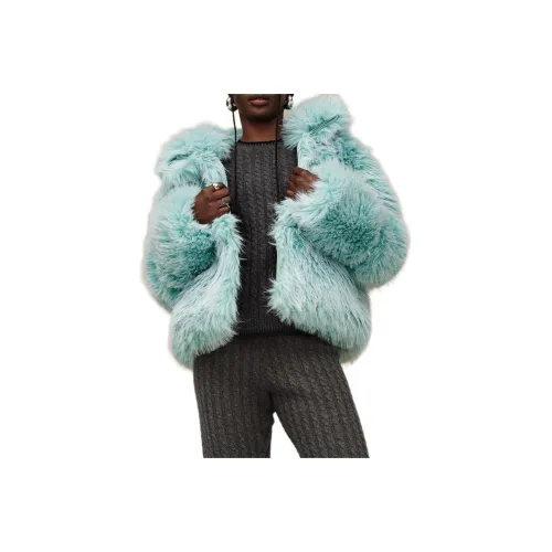 UGG Синий Женские пуховики