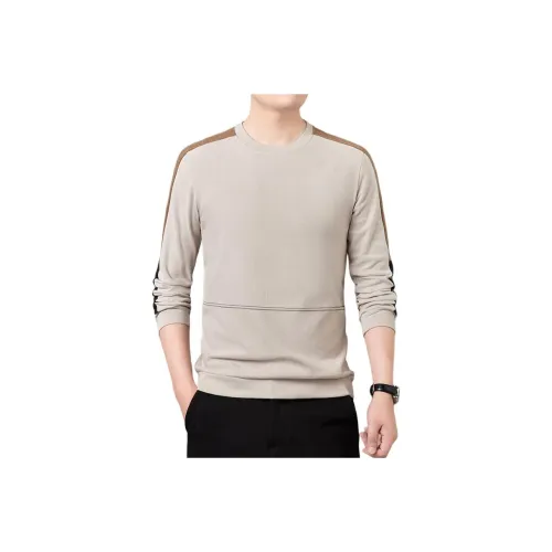 ICVBL Мужские Свитшоты