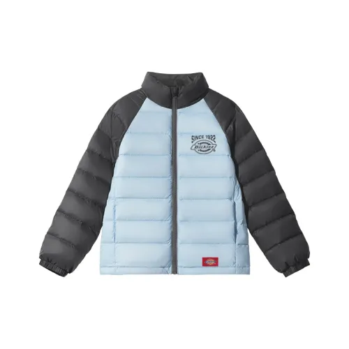 Dickies Kids Пуховики