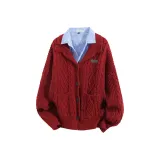 Брошь красного цвета