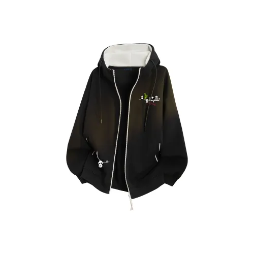 AULDEY Унисекс Свитшоты