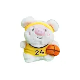 Баскетбол Свинка