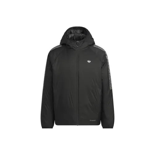 Adidas Originals FW25 PrimaLoft Cotton Down Jacket Men's
