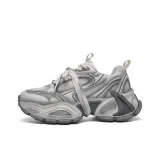 Ледниково-серый