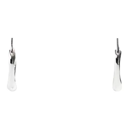 ZARA Брасс Серьги Мужской Серебряный