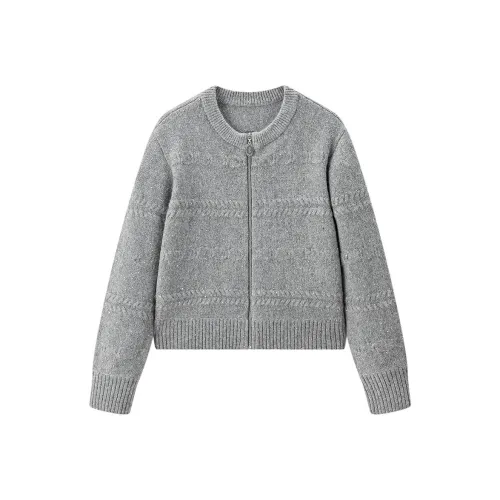 LEDIN Серебристо-серый в наличии Женская трикотажная одежда