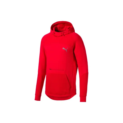 PUMA EVOSTRIPE FW25 Свитшот Мужской