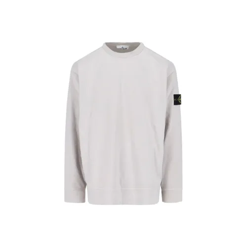 STONE ISLAND Светло-серый Мужской Свитшот