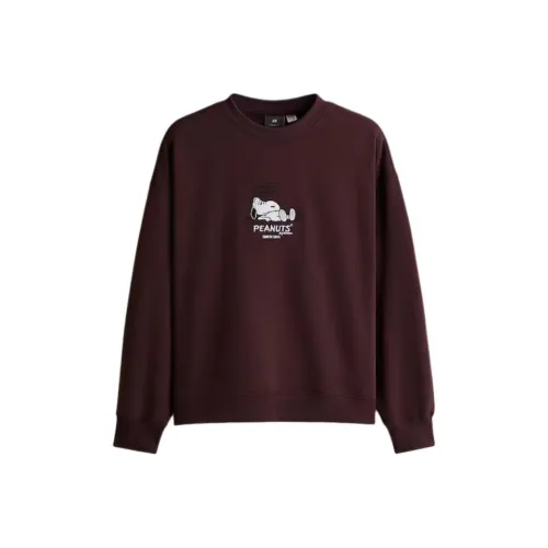 H M Темно-фиолетовый Мужской Свитшот