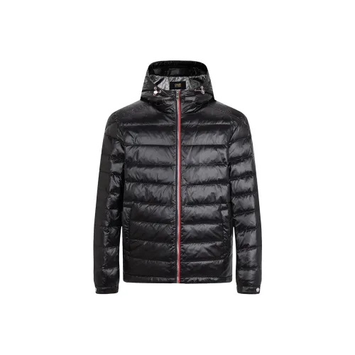 Cavalli Class Пуховик Мужской