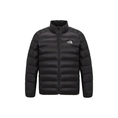 THE NORTH FACE M'S MATIER RDS Down Jacket Men's