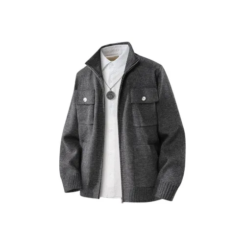 PGNC Мужские Свитера