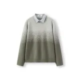 Зелёно-серый тон 00442