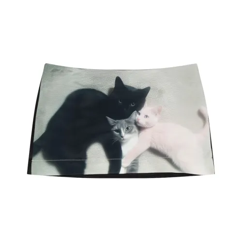 Ashley Williams FW25 Повседневные короткие юбки Женские