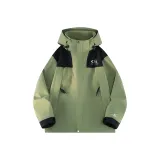 Кедр Зеленый