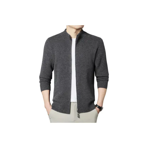 KADANDINUO Мужские Свитера