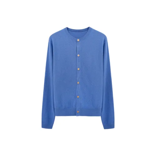 SISONPLAY Королевский синий Унисекс Свитера