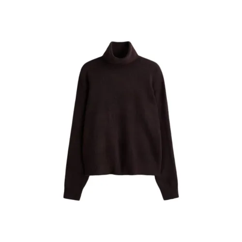 H M Темно-коричневые женские свитеры