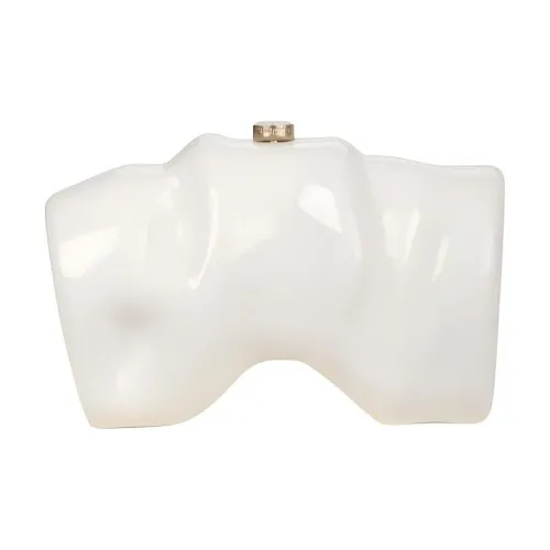 CULT GAIA Акриловый клатч стандартный женский белый