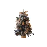 Снег-Покрытая Черника