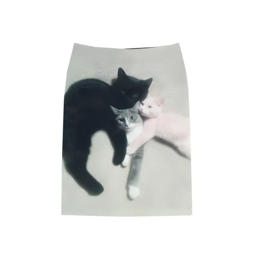 Ashley Williams FW25 Повседневные короткие юбки Женские