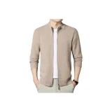 Бежевый цвет, верблюжий.