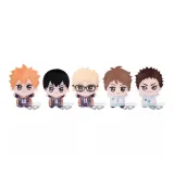 Полный комплект для 5 человек