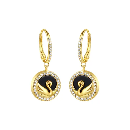 FANSHINER Сплав IPRG Гальванизированные 18K Серьги Женские