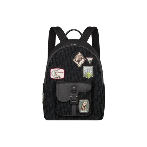 DIOR SaddleOBLIQUE Техническая ткань с хлопком Wa Телячья кожа Рюкзак Мужской Черный