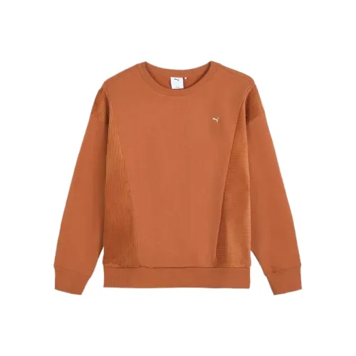 PUMA Кофейный Унисекс Свитшоты