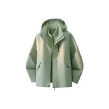 Silver Green - Серебряный Зеленый