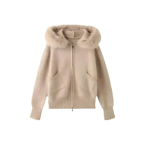 GOSO Изображение Цвет Женский Трикотаж